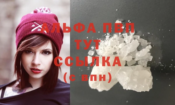 амф Касимов