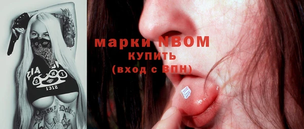 амф Касимов