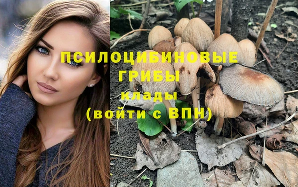 индика Карпинск