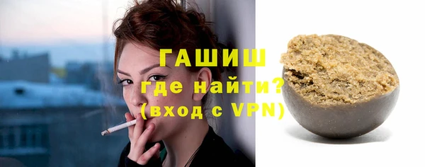 индика Карпинск