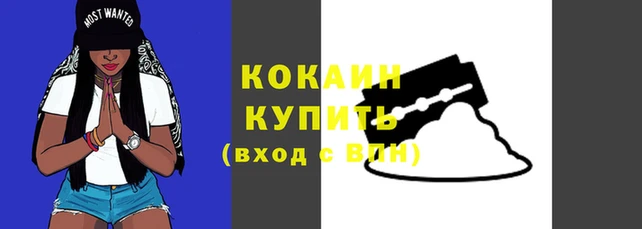 амф Касимов