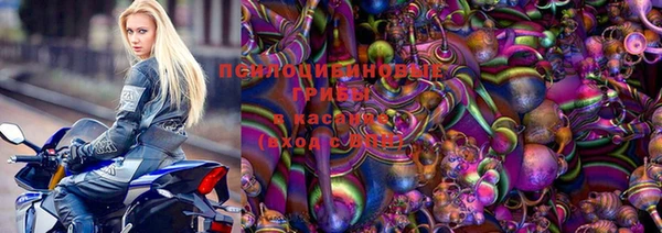 индика Карпинск