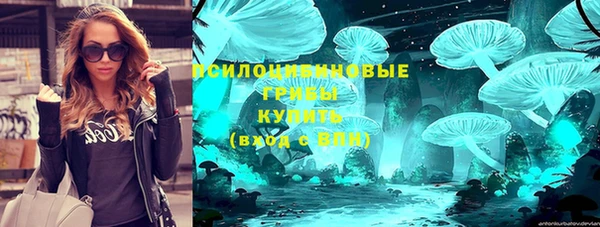 индика Карпинск