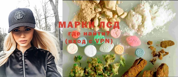 индика Карпинск