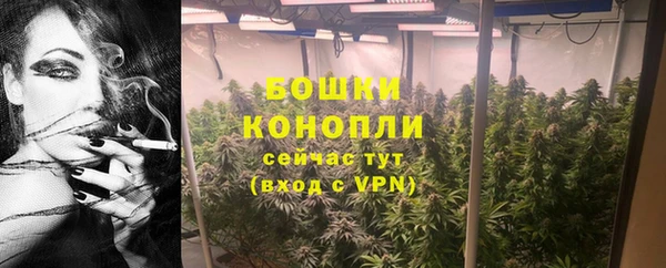 амф Касимов