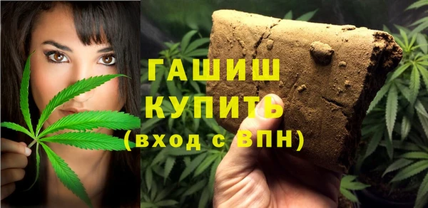 индика Карпинск