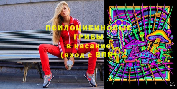 индика Карпинск