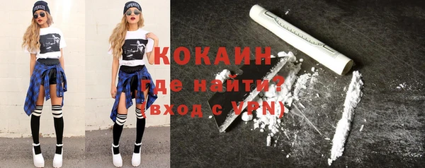 индика Карпинск
