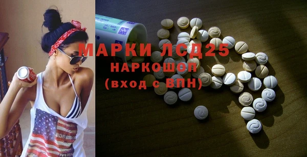 индика Карпинск