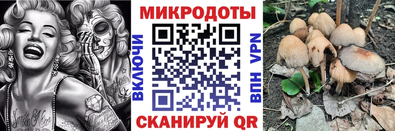 купить наркоту  Медвежьегорск  Галлюциногенные грибы Psilocybe 